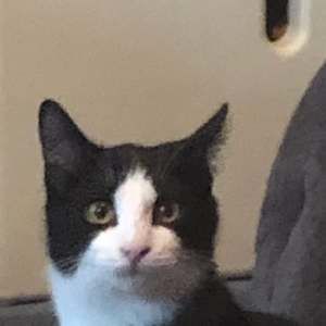 Meet your Posher, Sandra